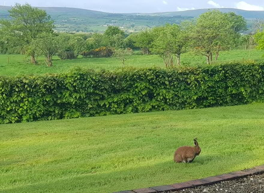 "Harefield House", 44 Cashty Road, Omagh, BT78 5RL