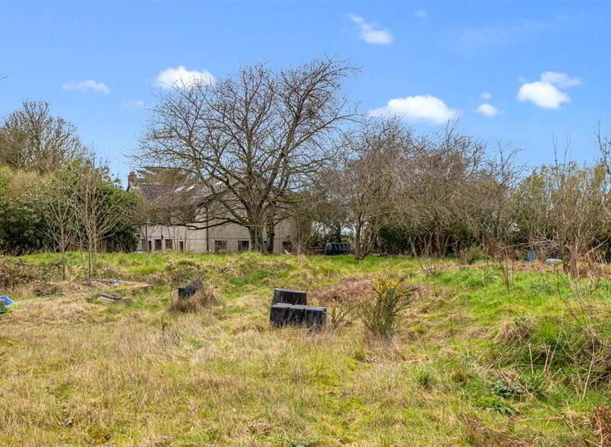 A FOR SALE AS WHOLE OR IN LOTS, 55 Halftown Road, Maze, Lisburn, BT27 5RF