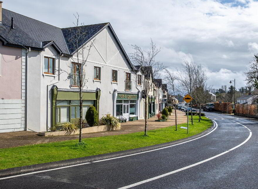 41 Mac Oisin Place, Dromod, N41P638