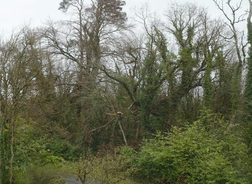 11 Laurel Grove, Enniskillen, BT74 4EQ