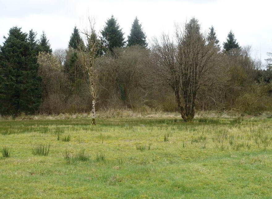 86 Adlerwood Road, Fivemiletown, BT75 0JG