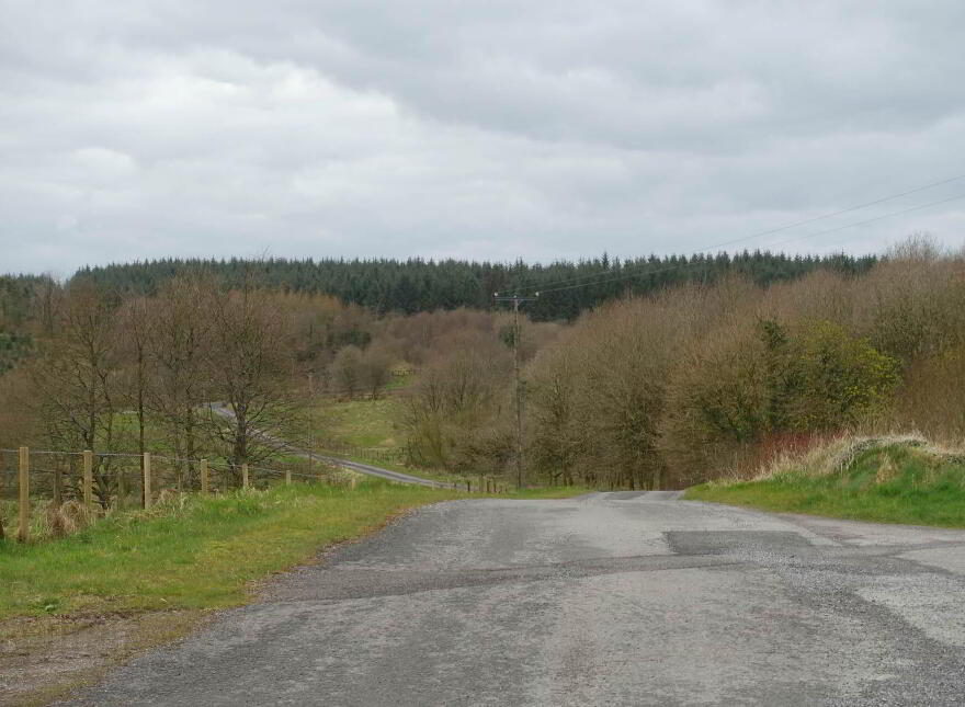 86 Adlerwood Road, Fivemiletown, BT75 0JG