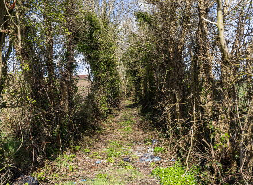 Building Site, At 32 Ardmillan Road, Lisbane, Comber, BT23 6AH