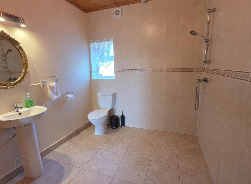 Shepperton, Shreelane, Skibbereen, P81AC86
