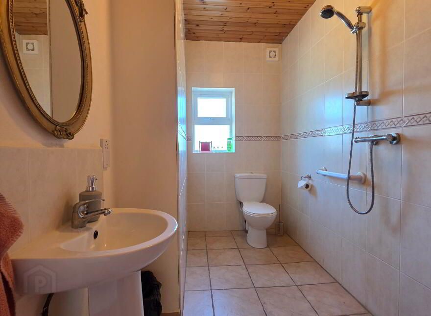 Shepperton, Shreelane, Skibbereen, P81AC86