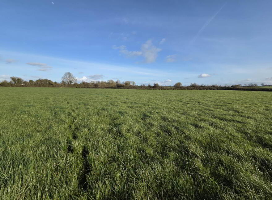 Church Road, Croom