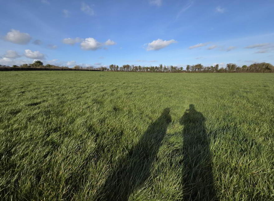 Church Road, Croom