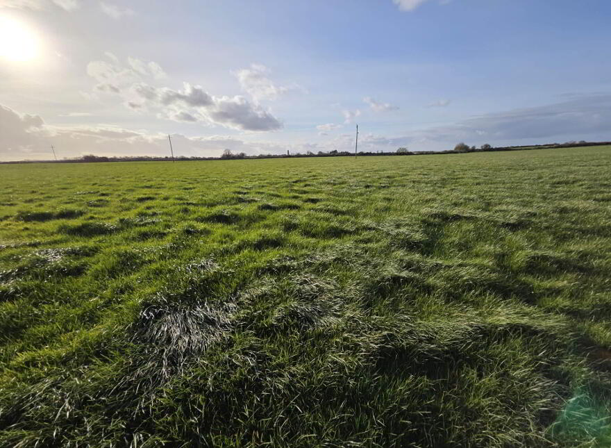 Church Road, Croom