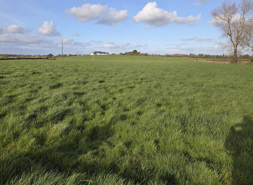 Church Road, Croom