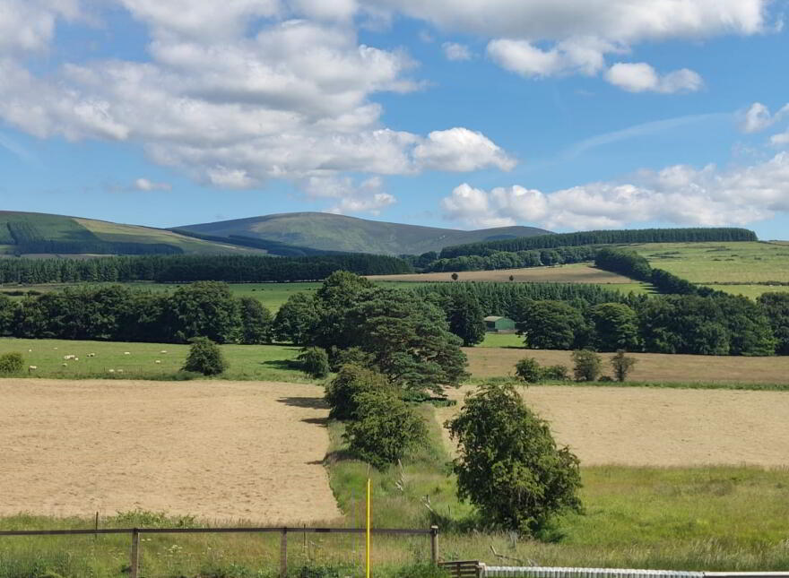 Arduan, Manor Kilbride, Blessington, W91R2P6