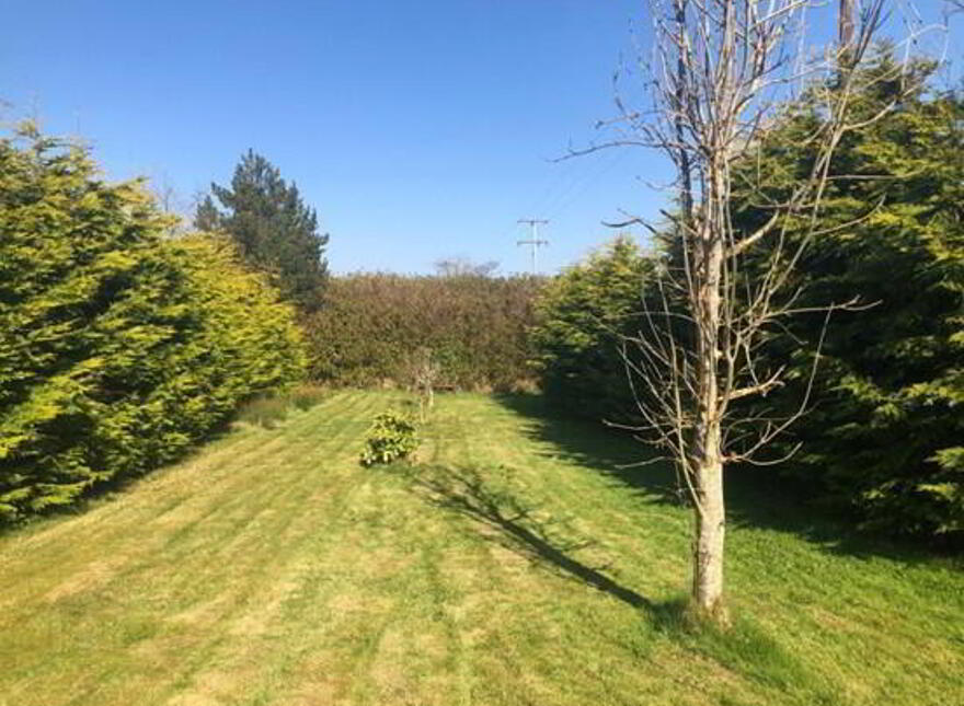 1 House & House, No. 2 Station Road, Falcarragh, F92D5Y6