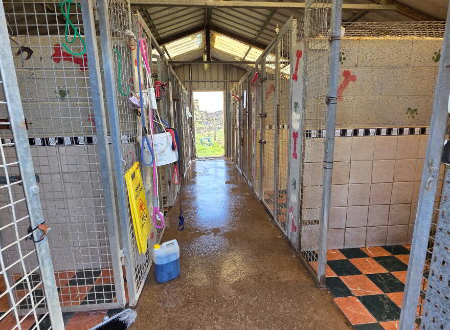 Lahard, Whitegate, P25P267