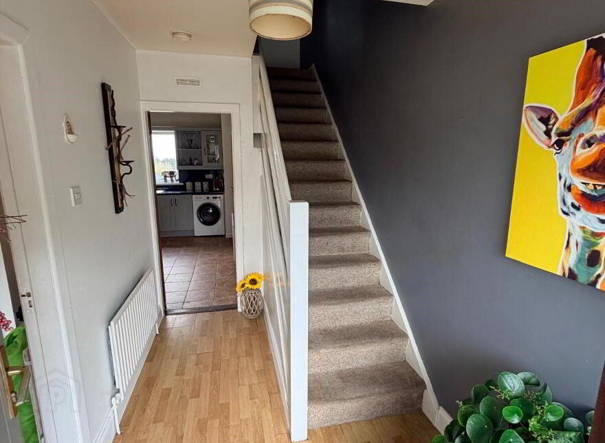 6 Glenview Terrace, Lyre, P51D361