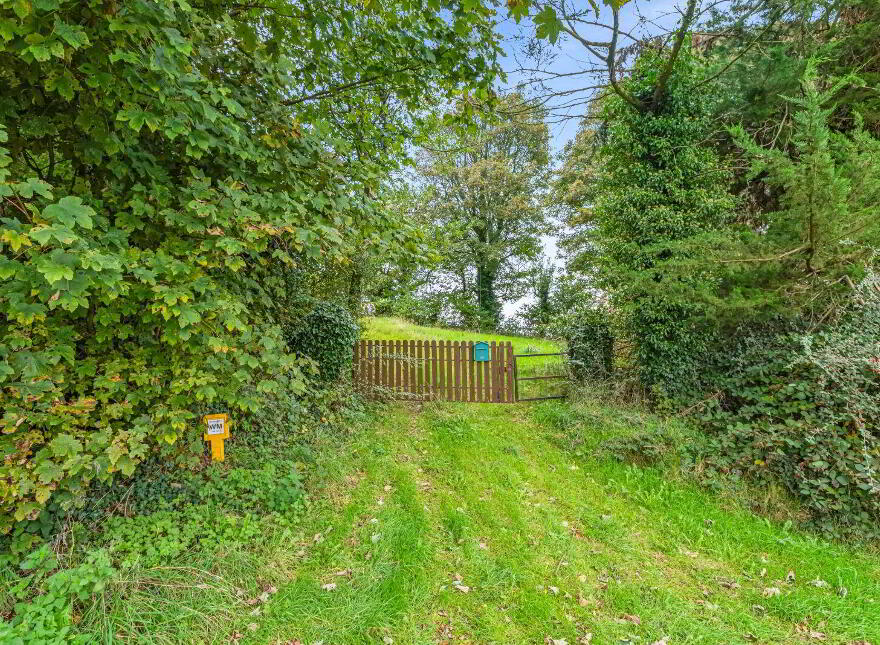 Glasleck, Shercock, A81CV61
