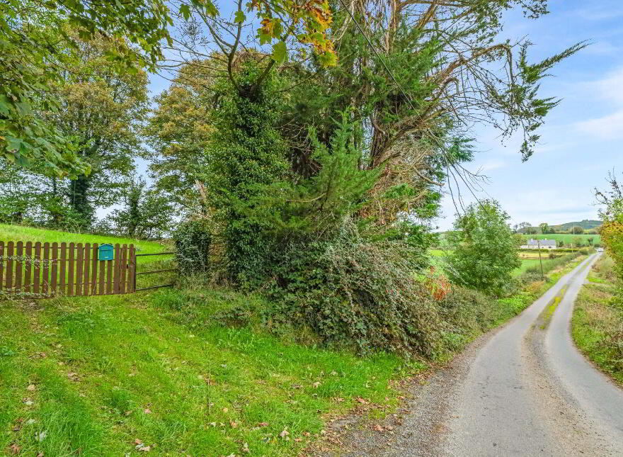 Glasleck, Shercock, A81CV61