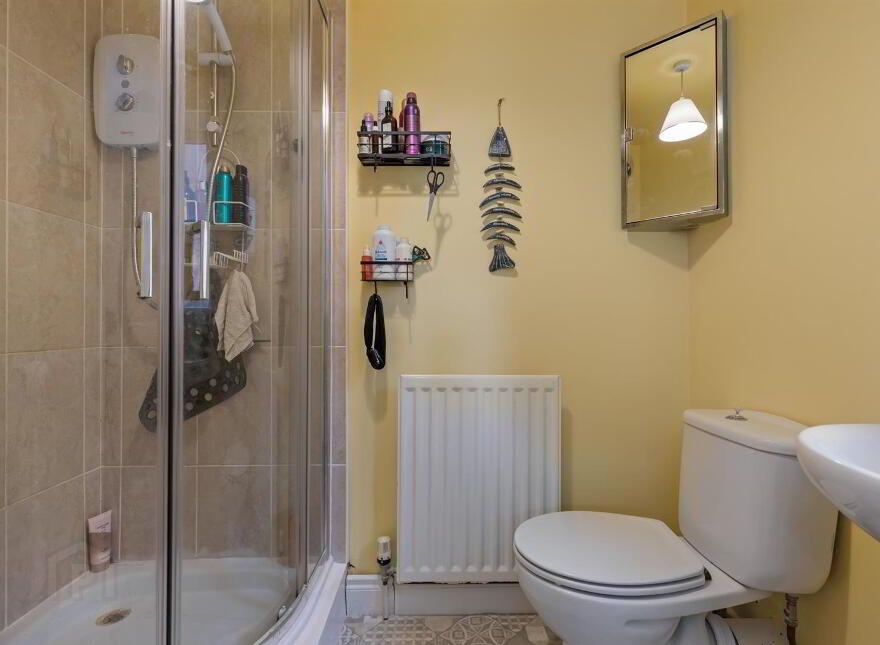 15 Demesne Park, Downpatrick, BT30 6WG
