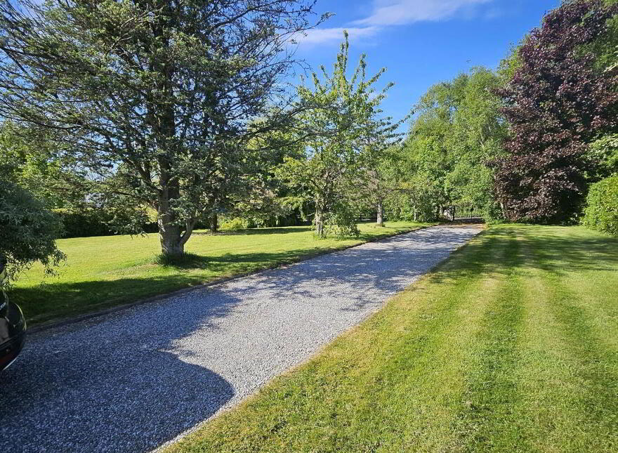 Randalstown, Donaghpatrick, Navan, C15V625
