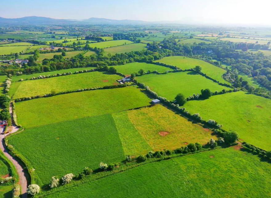 Ballygriggan House, Ballygriggan, Castletownroche, P51XD54