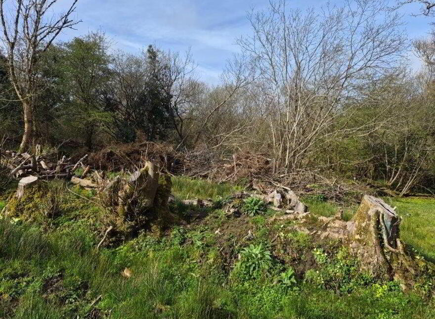 Gilaroo Cottage, Sracomer, Kinlough, F91RX54