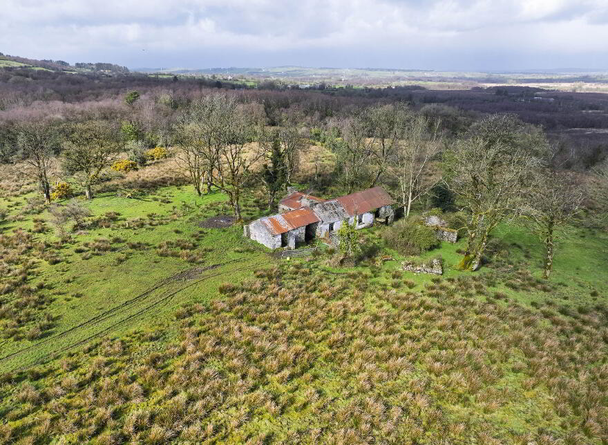 Lands At Castlederg Road, Omagh, BT78 4PX