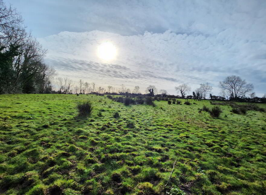Lands At Tyghan Lane, Legilly Road, Dungannon