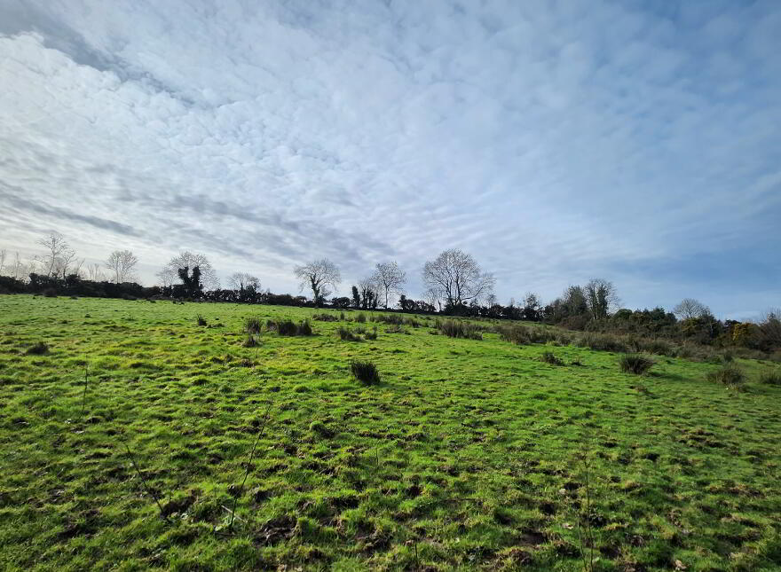 Lands At Tyghan Lane, Legilly Road, Dungannon