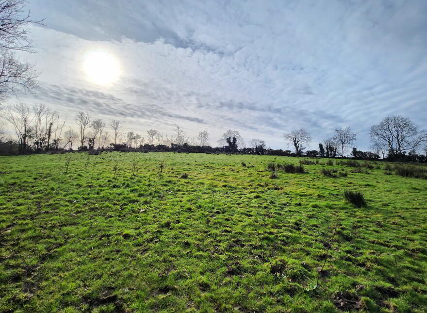 Lands At Tyghan Lane, Legilly Road, Dungannon