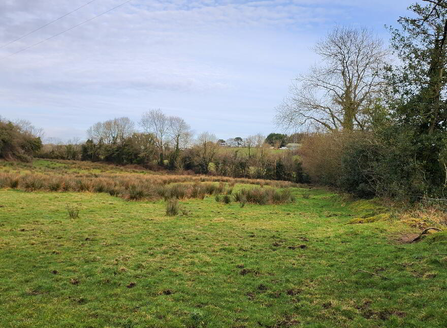 Lands At Tyghan Lane, Legilly Road, Dungannon
