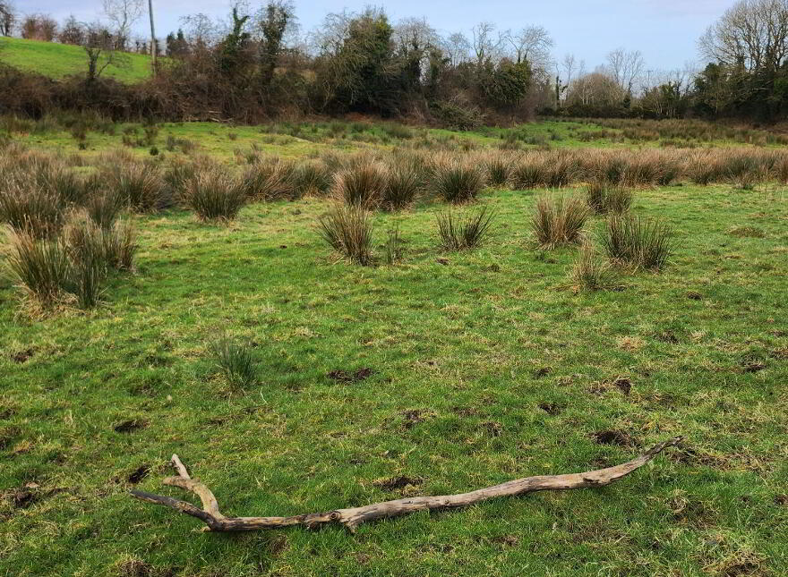 Lands At Tyghan Lane, Legilly Road, Dungannon