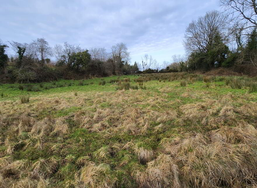 Lands At Tyghan Lane, Legilly Road, Dungannon