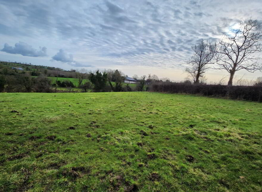 Lands At Tyghan Lane, Legilly Road, Dungannon