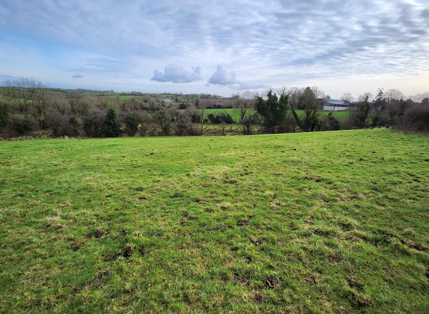 Lands At Tyghan Lane, Legilly Road, Dungannon