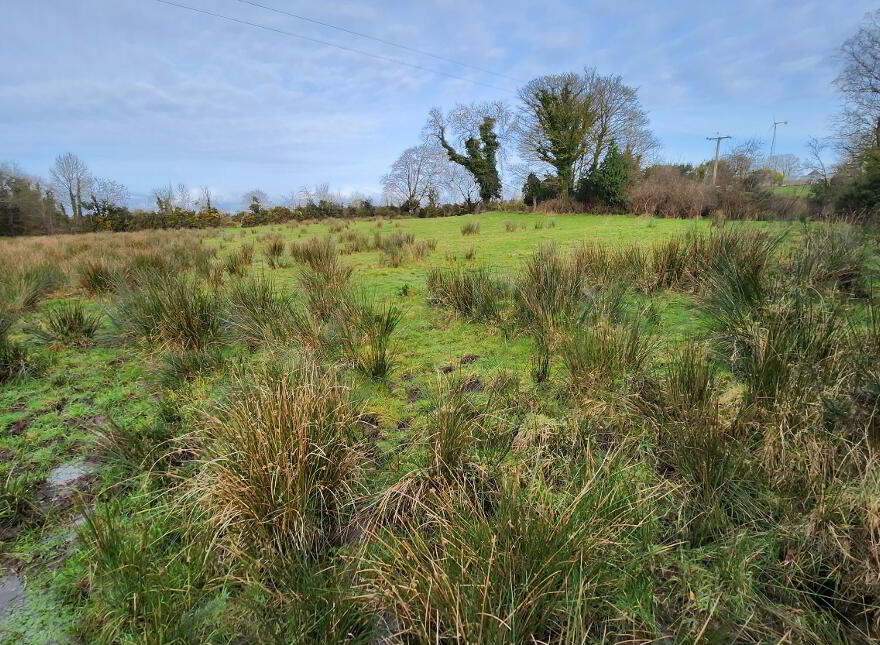 Lands At Tyghan Lane, Legilly Road, Dungannon