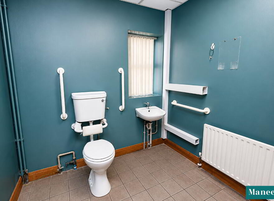 100 Gortgonis Road, Coalisland, BT71 4QQ
