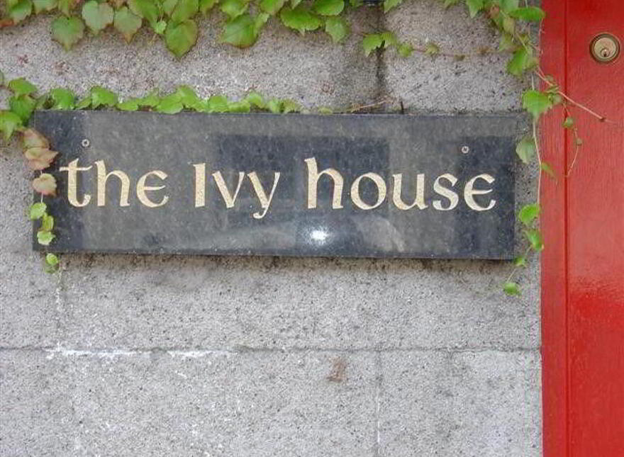 No 1-7 Ivy House Ivy Court, 100 Templeshannon, Enniscorthy, Y21P7Y4