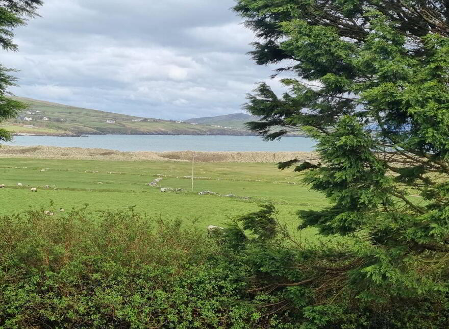 Corby Sands, Emlaghslat, Ventry, Dingle, V92A727