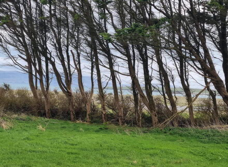 Corby Sands, Emlaghslat, Ventry, Dingle, V92A727