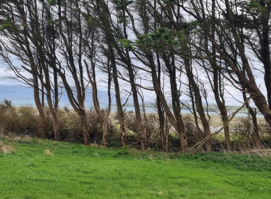 Corby Sands, Emlaghslat, Ventry, Dingle, V92A727