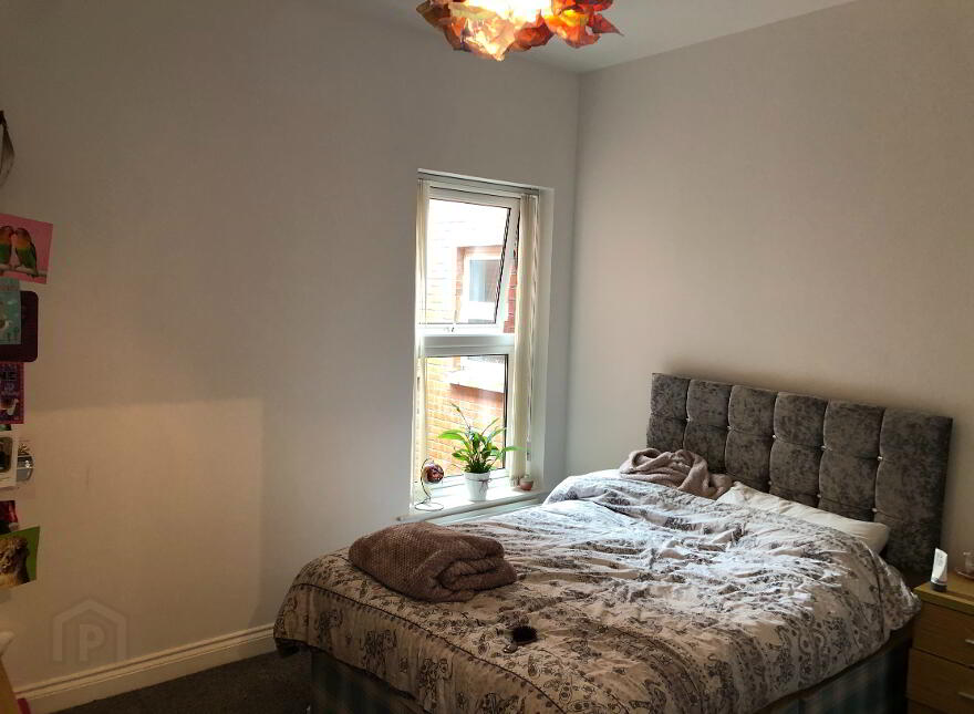 95D Eglantine Avenue, Belfast, BT9 6EX