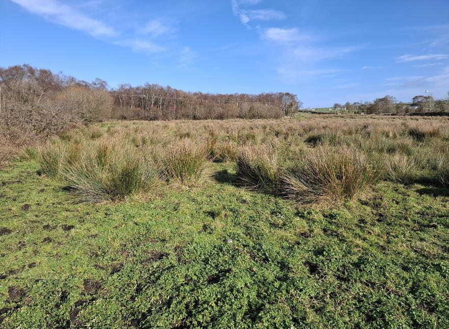 Berryhill / Glencosh Road, Donemana, Strabane, BT82 0JB