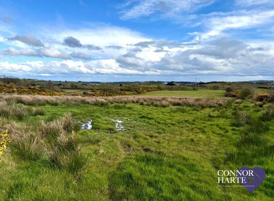 Lands At Gortscraheen/Loughnamarve, Pomeroy, Cookstown, BT70 2SA