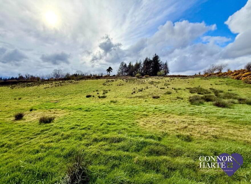 Lands At Gortscraheen/Loughnamarve, Pomeroy, Cookstown, BT70 2SA