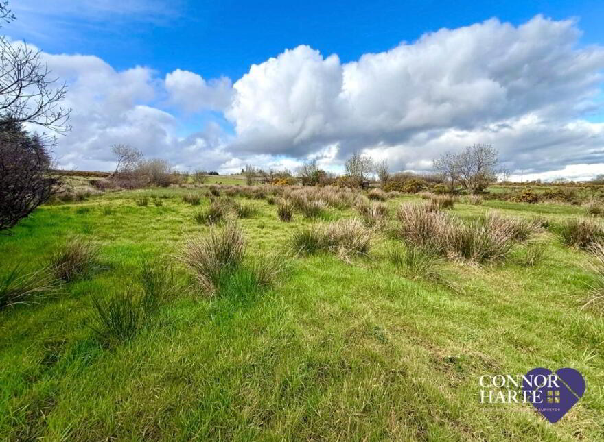 Lands At Gortscraheen/Loughnamarve, Pomeroy, Cookstown, BT70 2SA