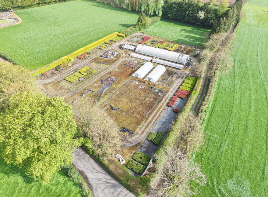Fiddown Nurseries, Corloughan, Piltown