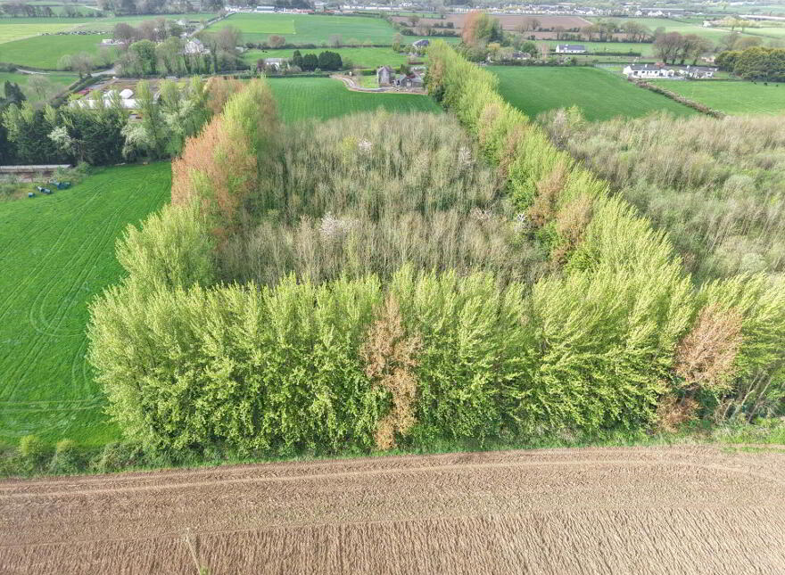 Fiddown Nurseries, Corloughan, Piltown