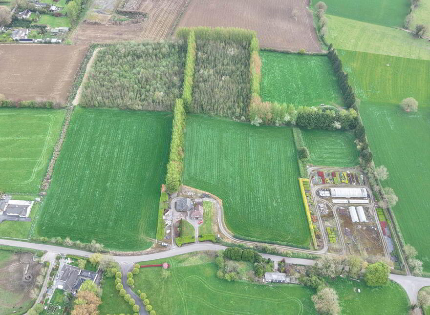 Fiddown Nurseries, Corloughan, Piltown