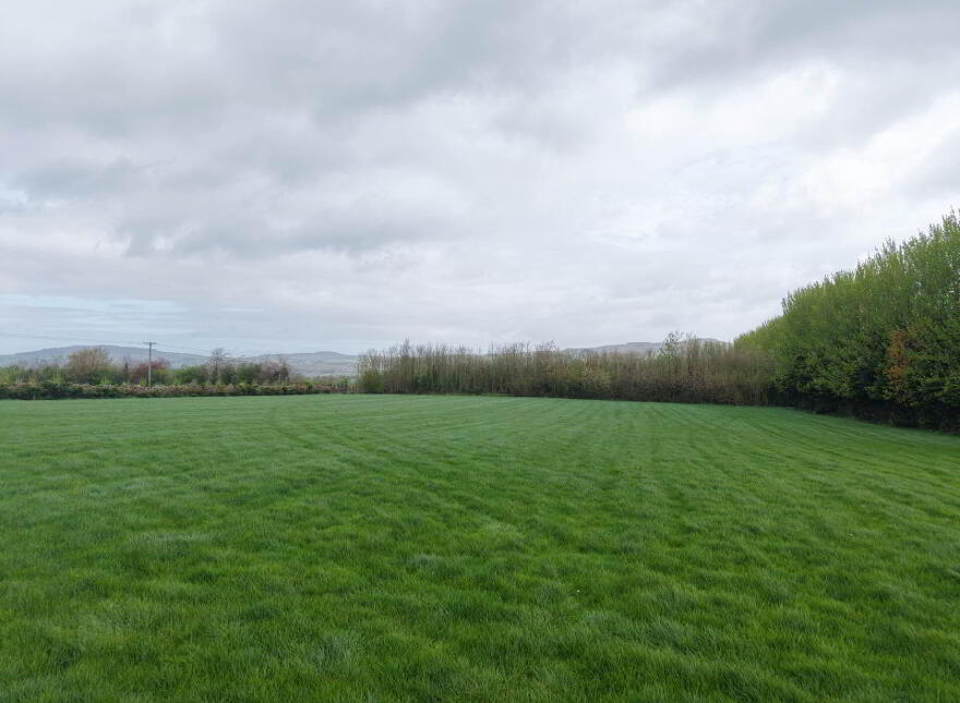 Fiddown Nurseries, Corloughan, Piltown