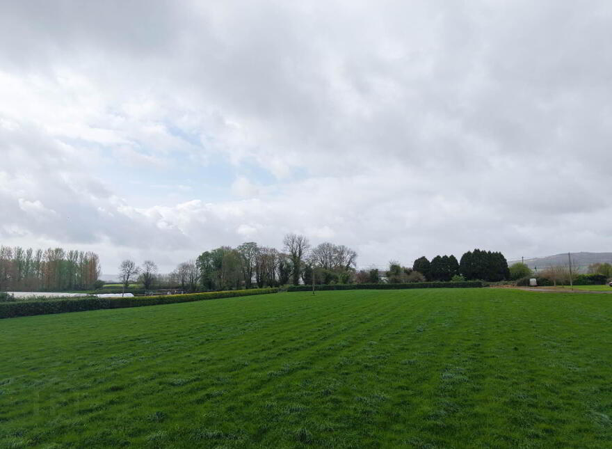 Fiddown Nurseries, Corloughan, Piltown