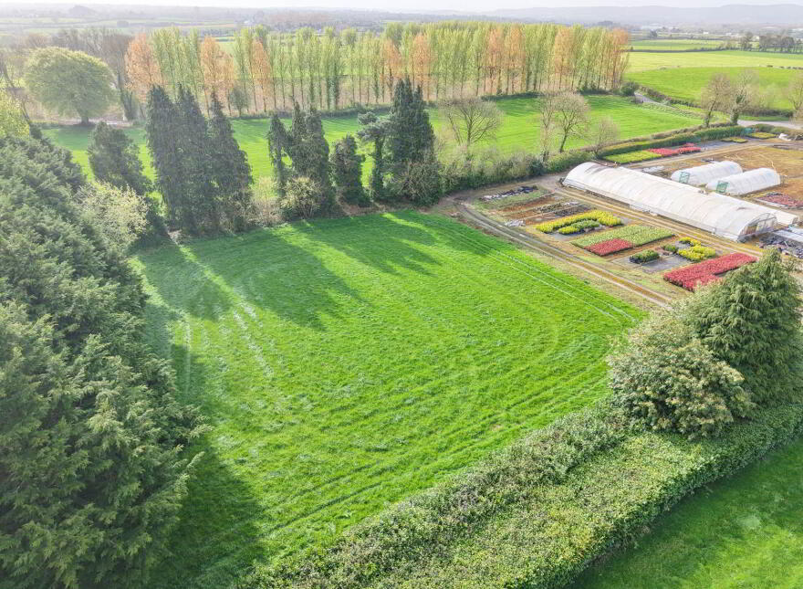 Fiddown Nurseries, Corloughan, Piltown