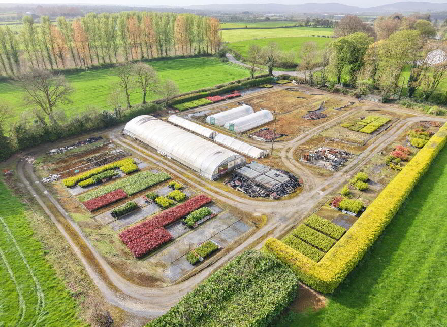 Fiddown Nurseries, Corloughan, Piltown